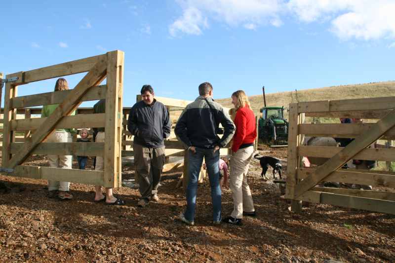 Nieuw-Zeeland 2011 - 1849